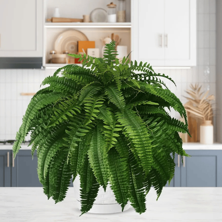 Last Day 75% OFF🔥 Artificial Boston Fern 🌳 UV Resistant, Lifelike Greenery 🌴