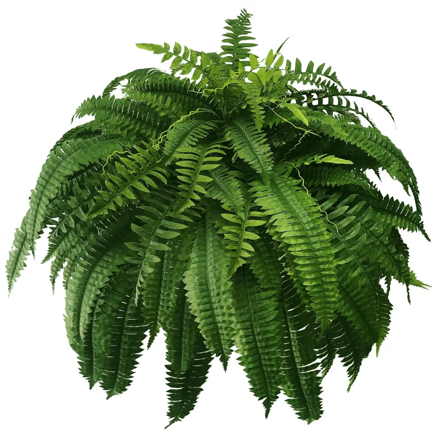 Last Day 75% OFF🔥 Artificial Boston Fern 🌳 UV Resistant, Lifelike Greenery 🌴