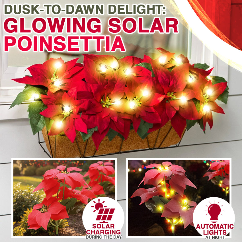 🌺Artificial Christmas Poinsettia Flower Solar Light🎄🎅(Waterproof, Garden, Xmas Party Decoration)