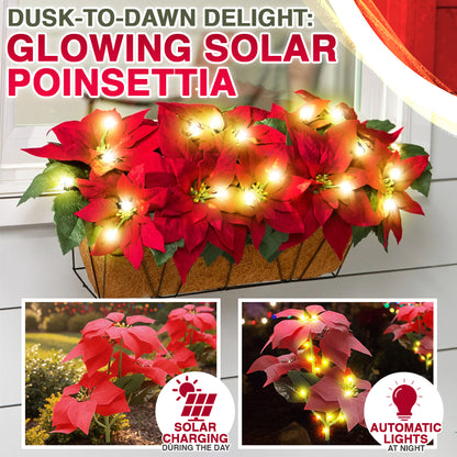 🌺Artificial Christmas Poinsettia Flower Solar Light🎄🎅(Waterproof, Garden, Xmas Party Decoration)