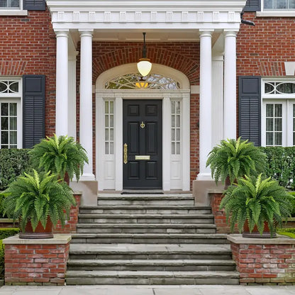 Last Day 75% OFF🔥 Artificial Boston Fern 🌳 UV Resistant, Lifelike Greenery 🌴